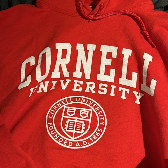Cornell Hoodie in Red - Picture 2 of 4